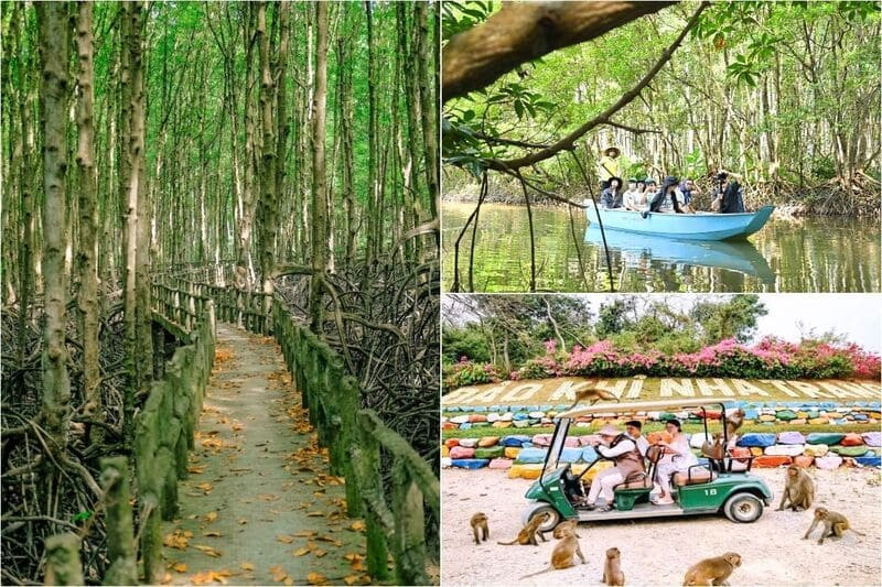 Khám phá rừng ngập mặn và hệ sinh thái đặc trưng Cần Giờ (Ảnh: Sưu tầm)